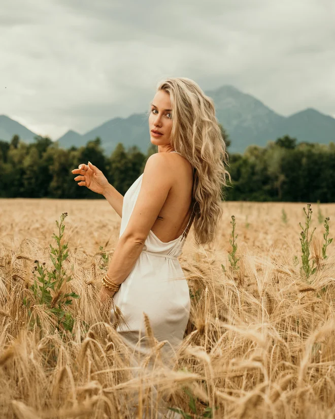 Slika članka