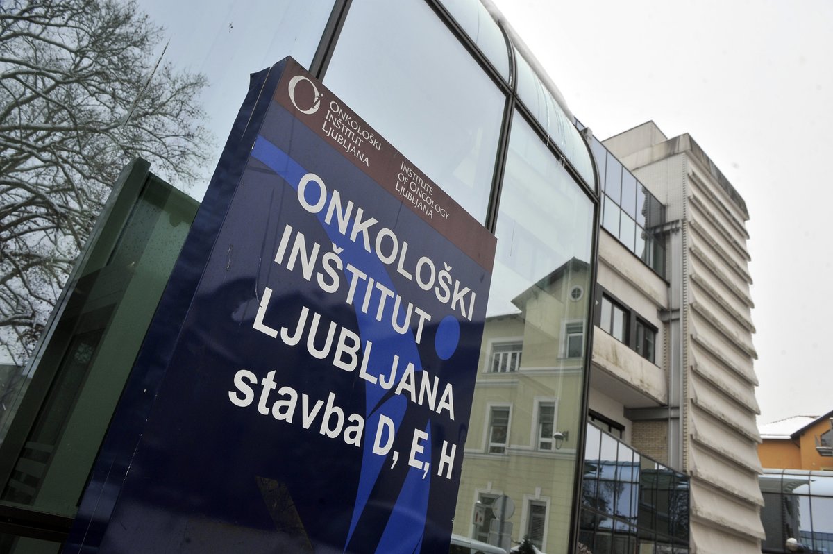 Slika članka