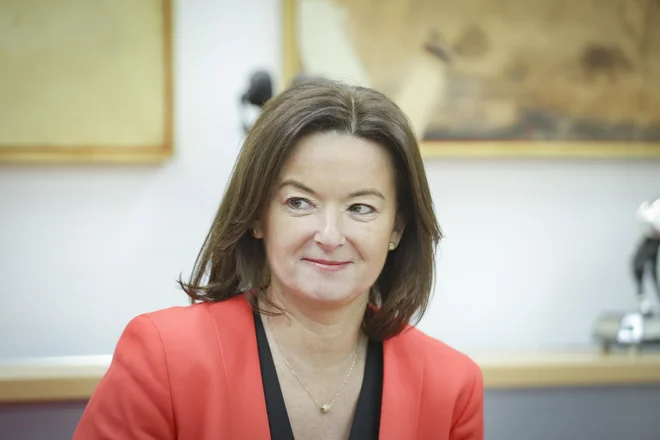 Slika članka