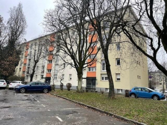 Slika članka