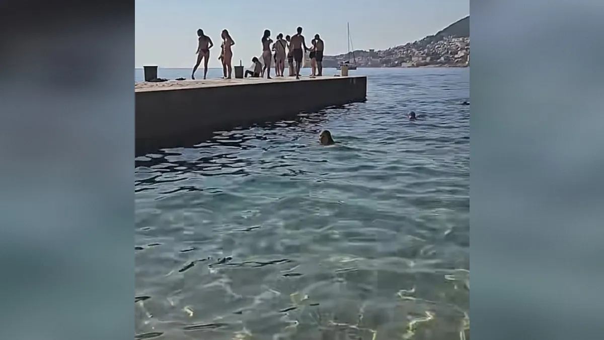 Slika članka