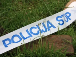 Slika članka