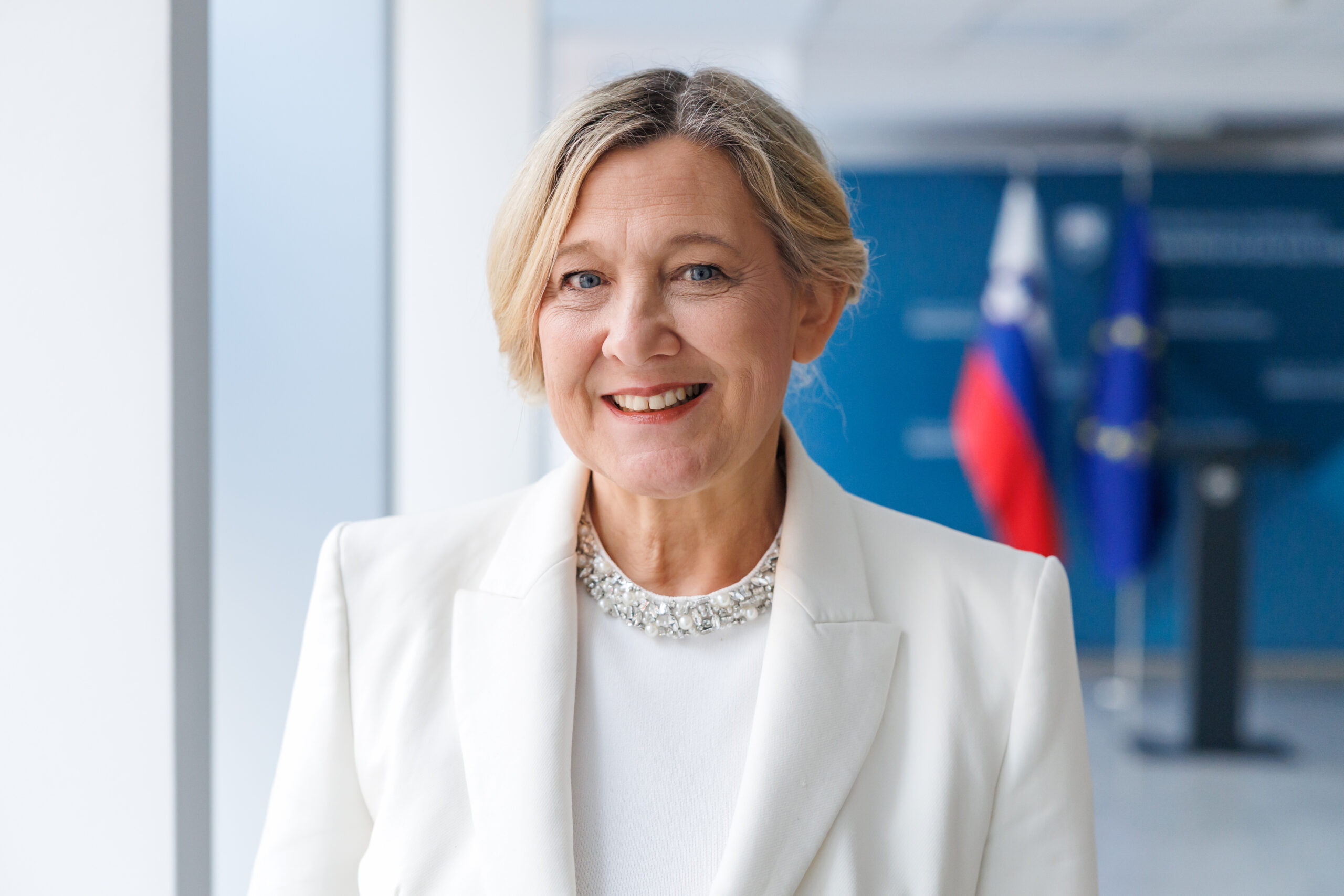 Slika članka
