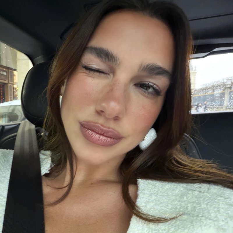 Slika članka