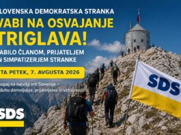 Slika članka