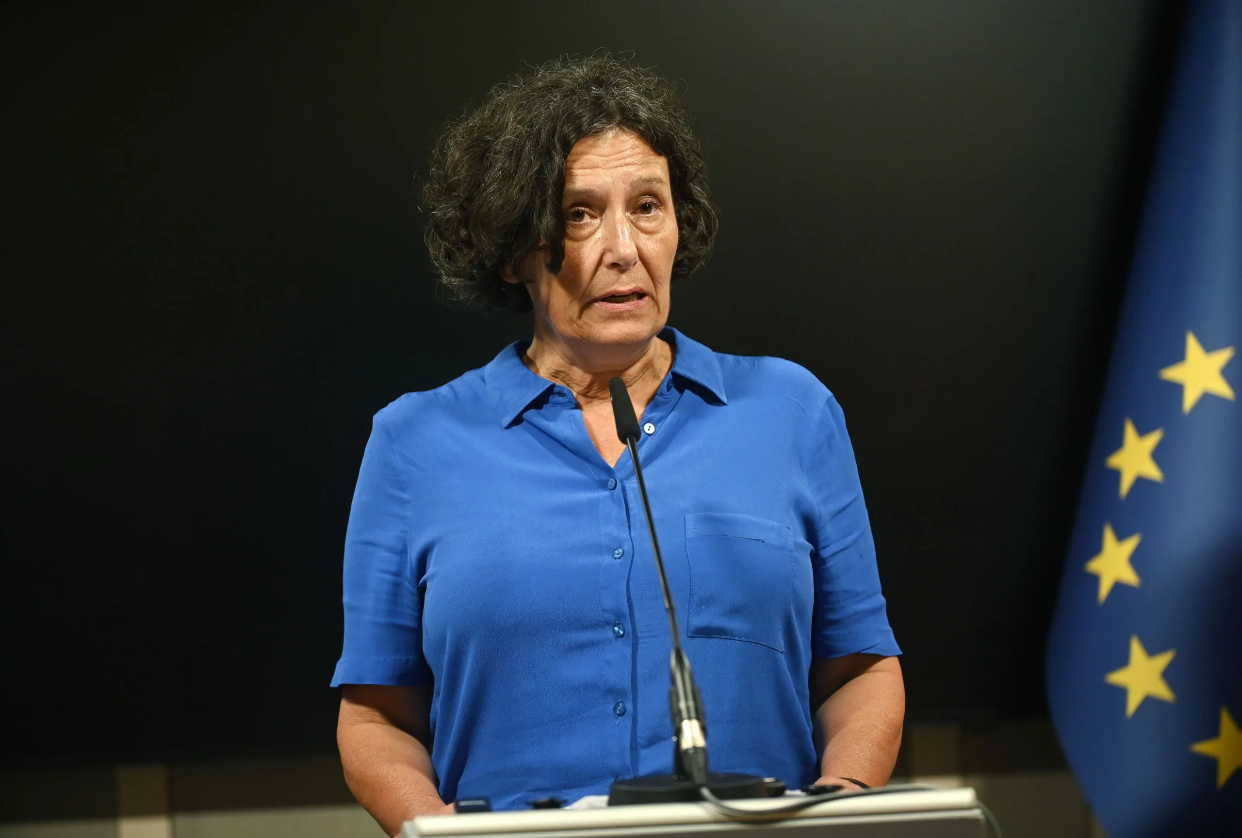Slika članka