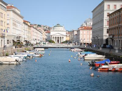 Slika članka