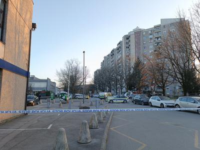 Slika članka