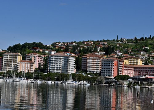 Slika članka