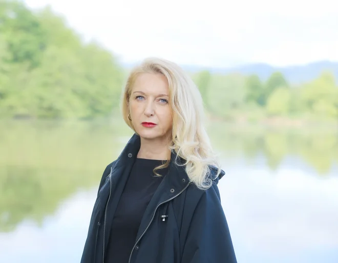 Slika članka