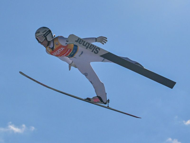 Slika članka