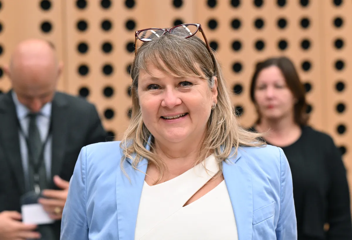 Slika članka