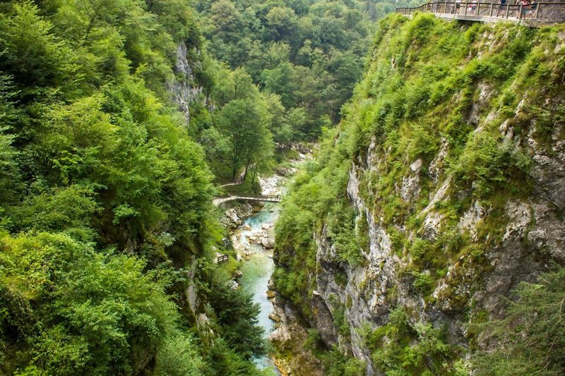 Slika članka