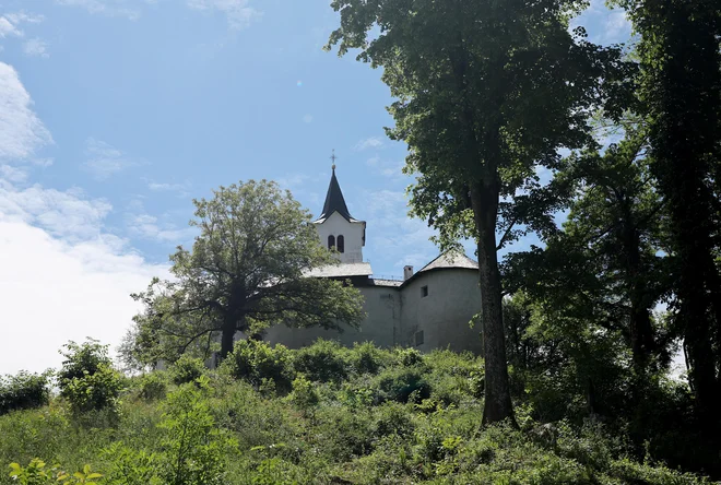 Slika članka