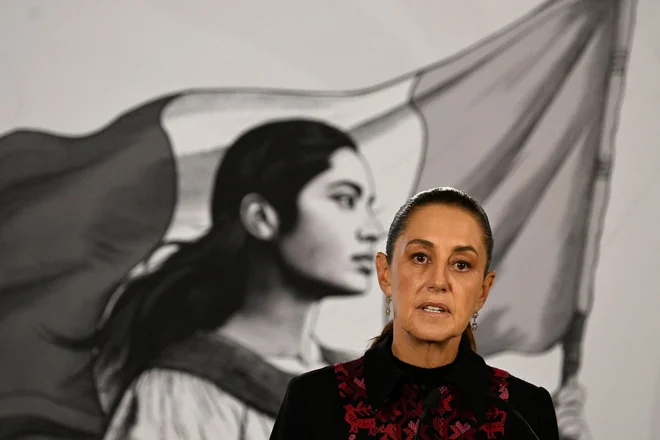 Slika članka