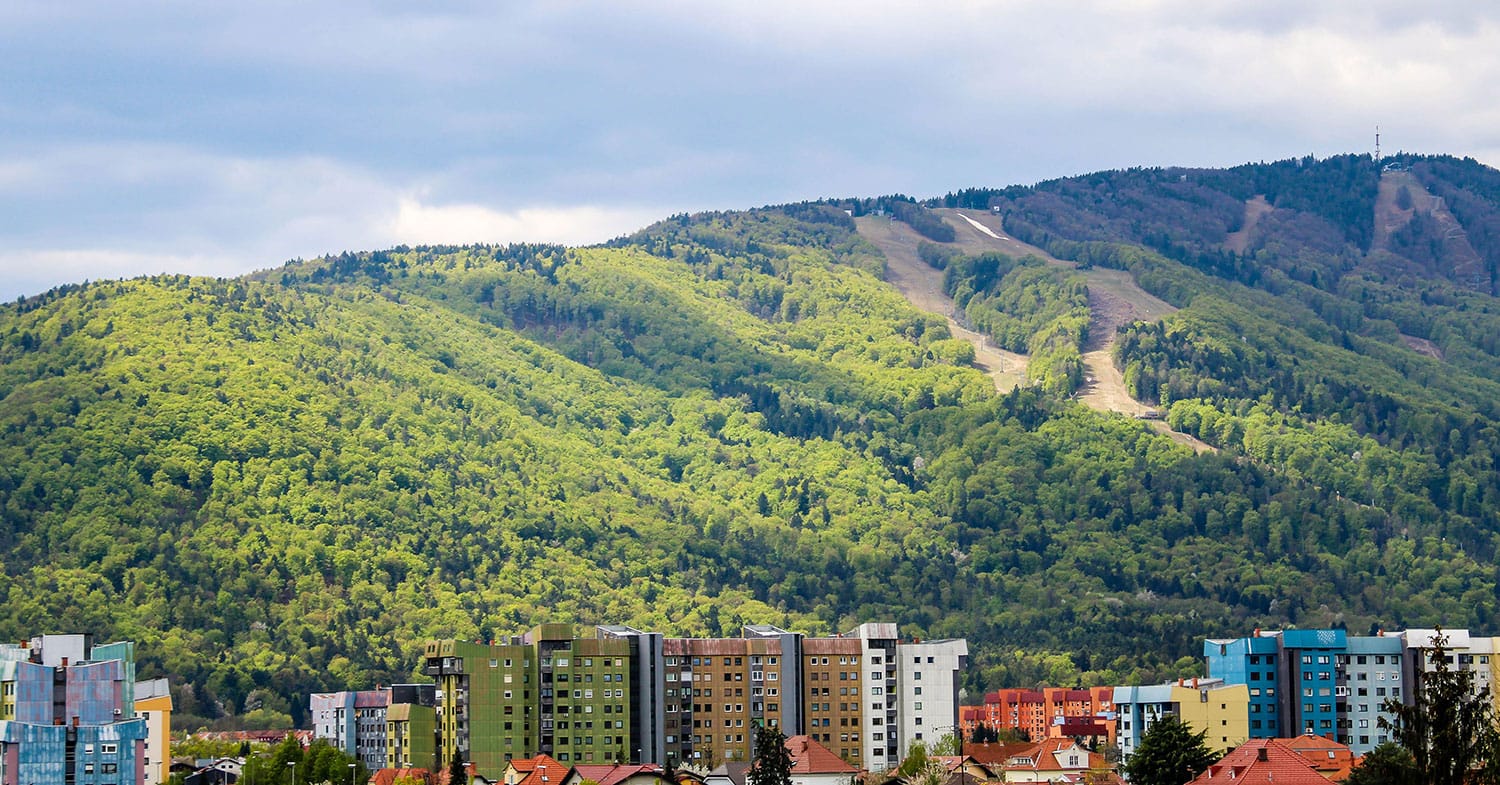 Slika članka