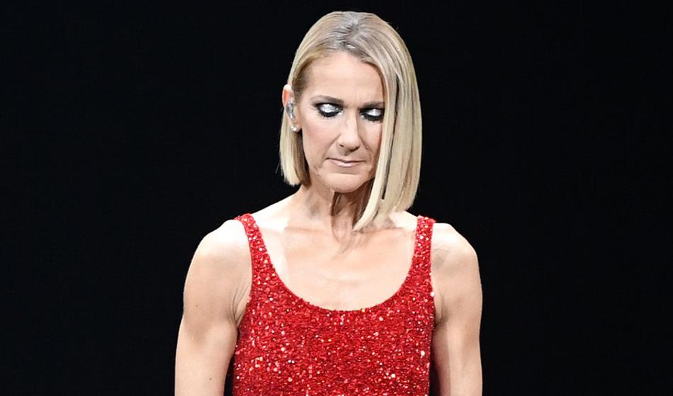 Slika članka