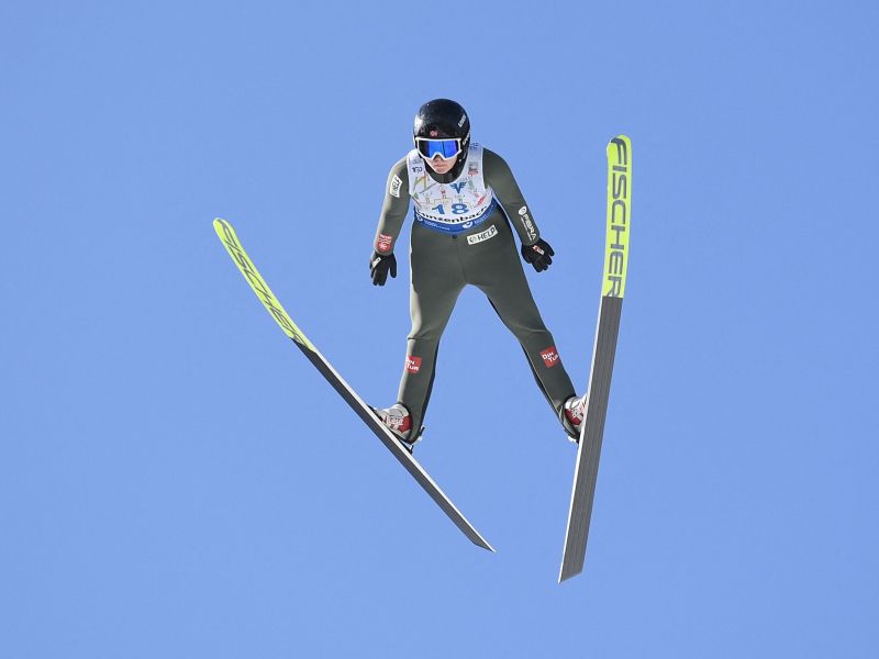 Slika članka