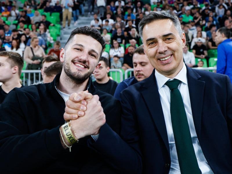 Slika članka