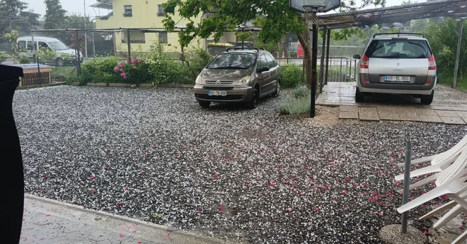 Slika članka