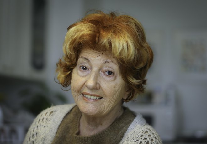 Slika članka