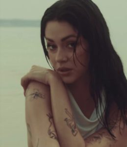 Slika članka
