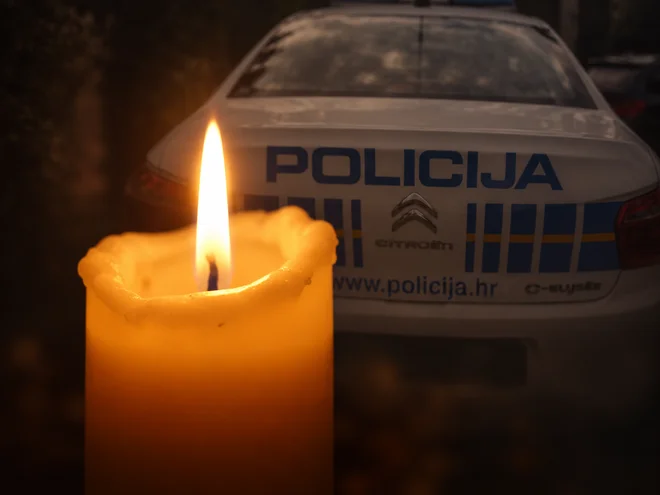 Slika članka