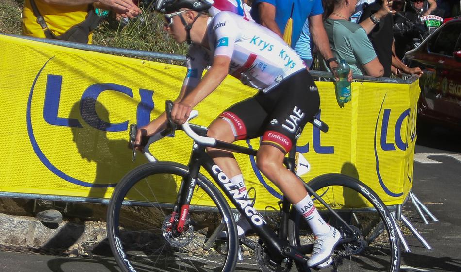 Slika članka