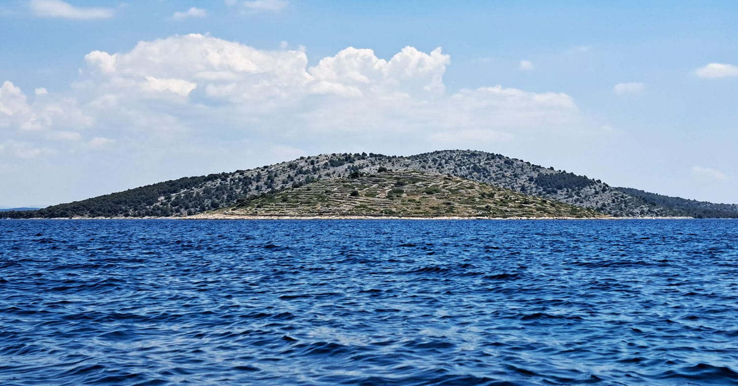 Slika članka