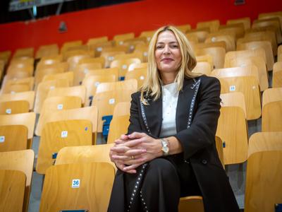 Slika članka
