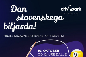 Slika članka