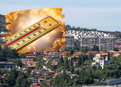 Slika članka