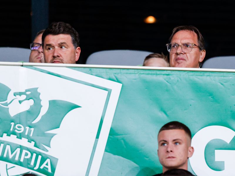 Slika članka