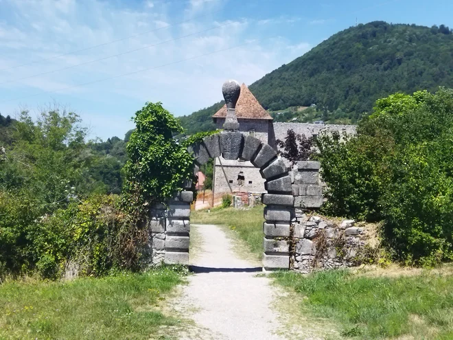 Slika članka