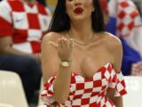 Slika članka