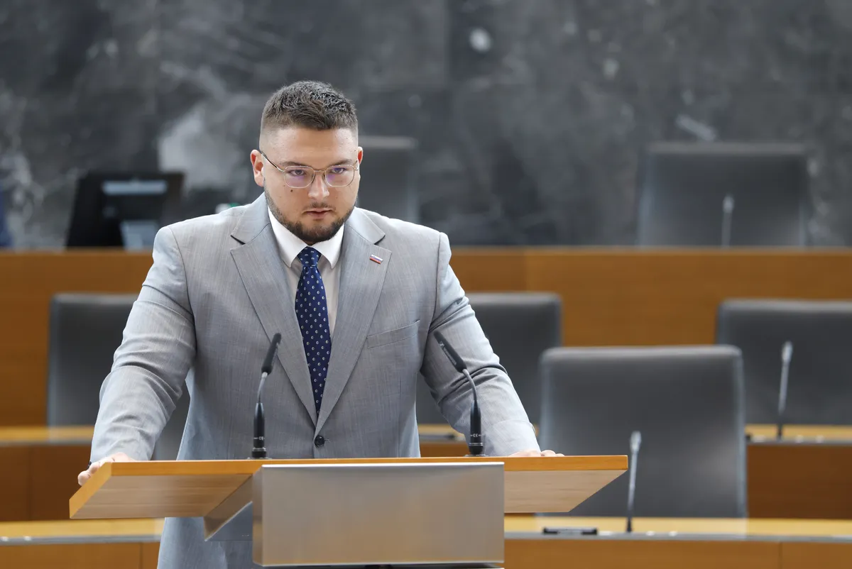 Slika članka