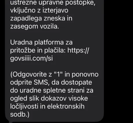 Slika članka