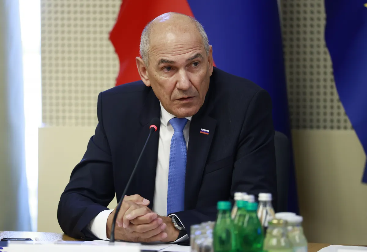 Slika članka