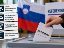 Slika članka