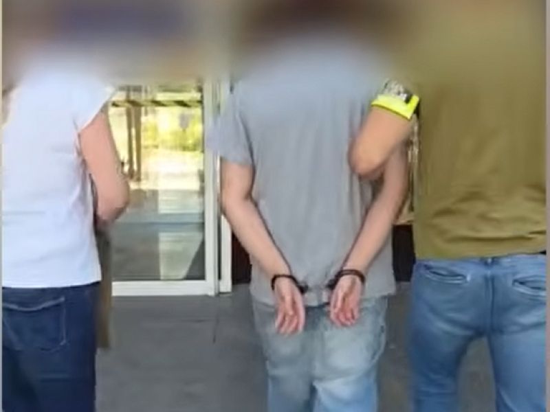 Slika članka