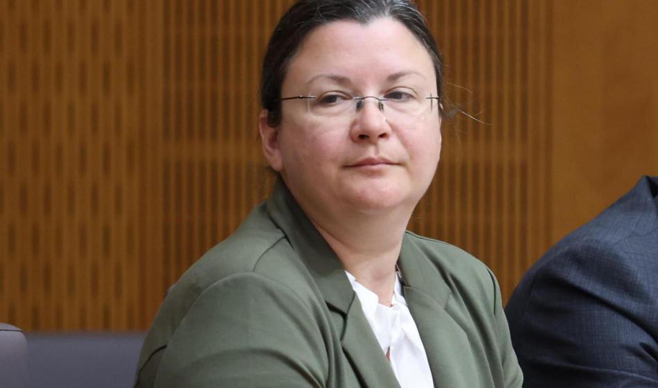 Slika članka
