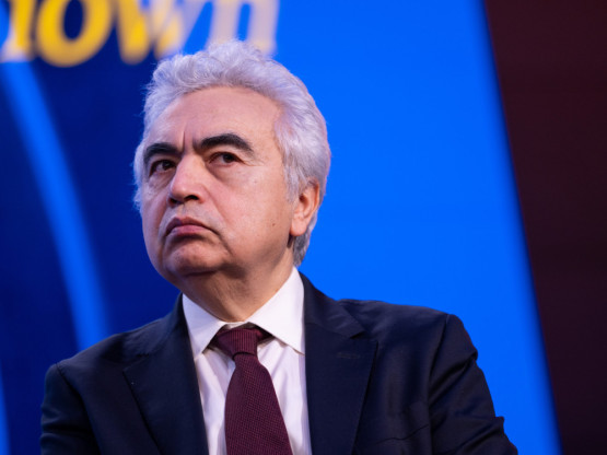 Slika članka