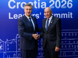 Slika članka
