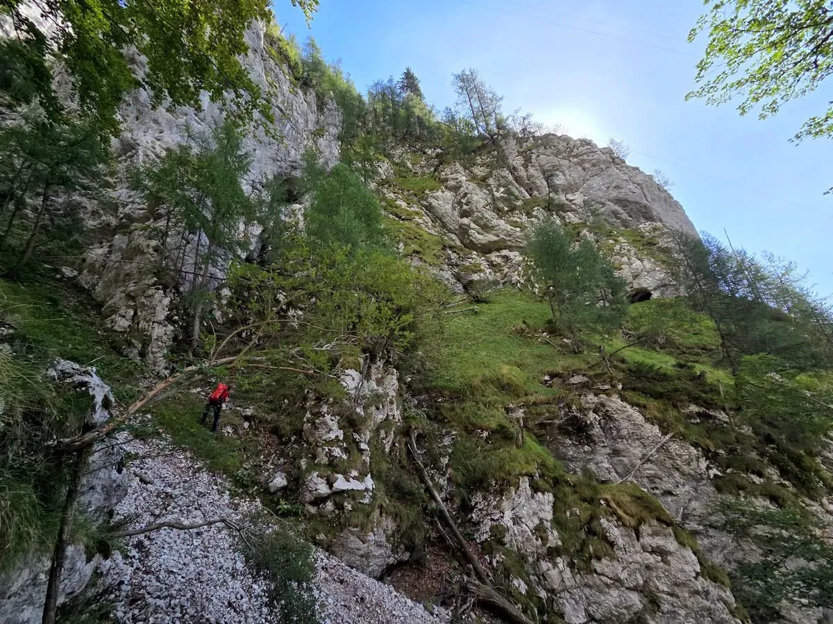 Slika članka