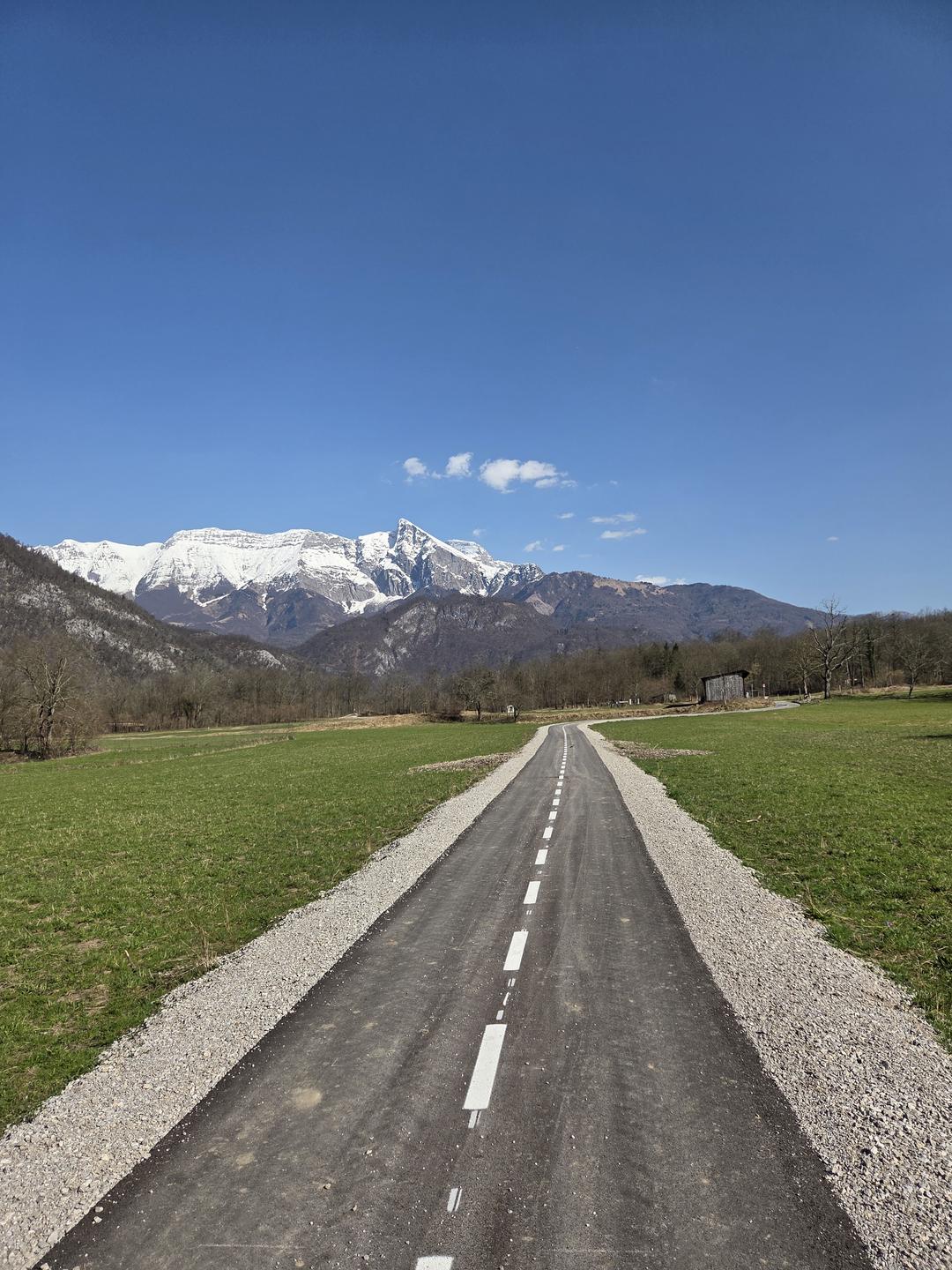 Slika članka