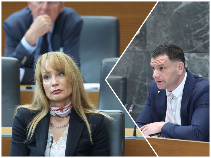 Slika članka