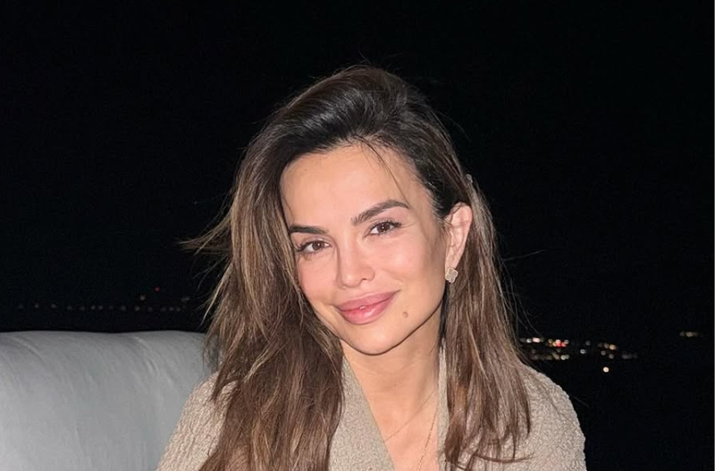 Slika članka