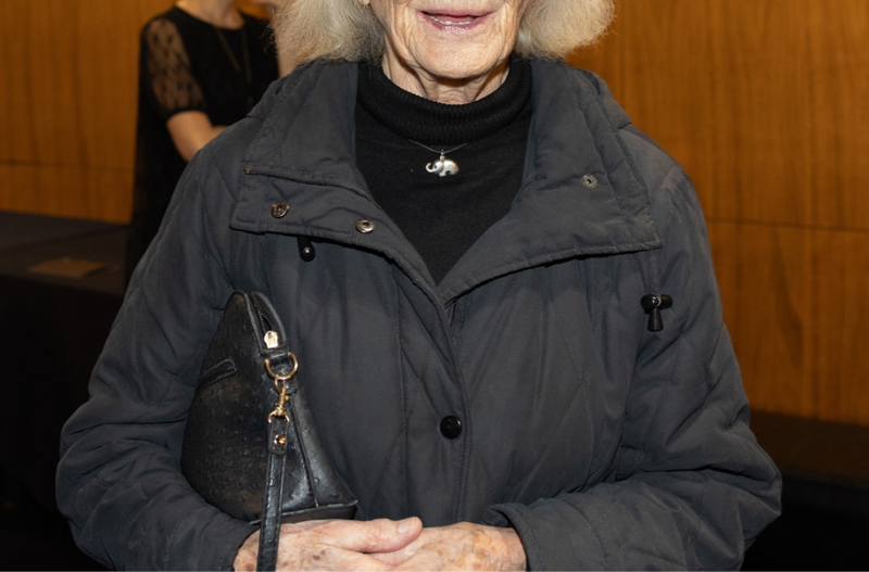 Slika članka
