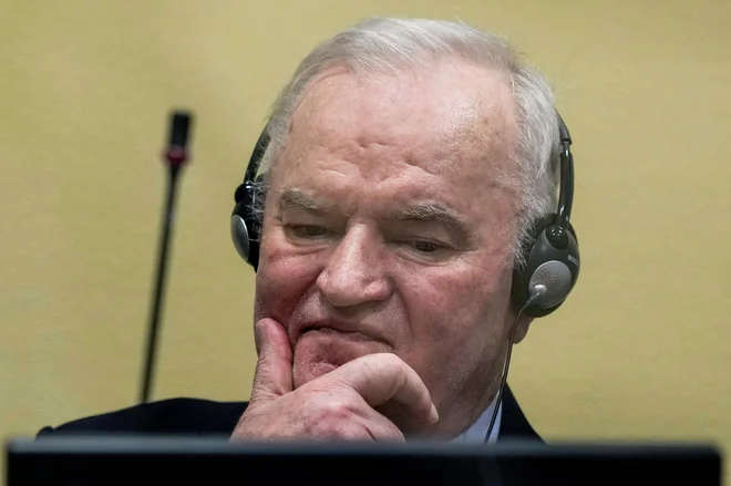 Slika članka
