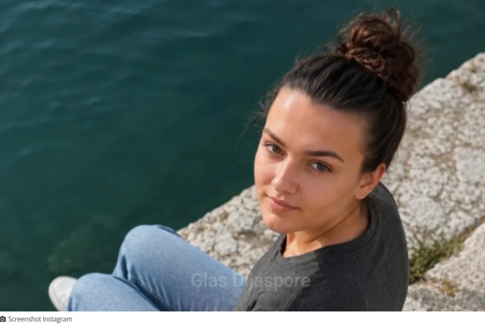 Slika članka